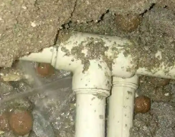 陵城测漏水多少钱