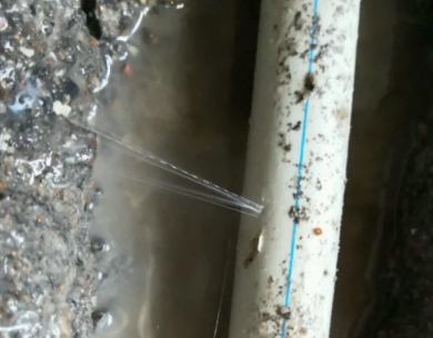 陵城测漏水哪家好