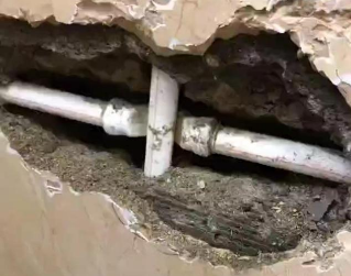 陵城测漏水哪家好