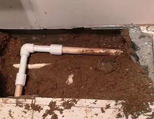 陵城测漏水哪家好