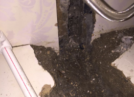 陵城卫生间测漏水哪家好