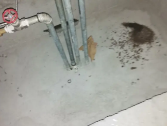 陵城卫生间测漏水价格明细