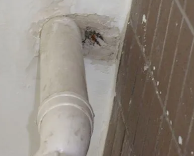 陵城漏水检测哪家好